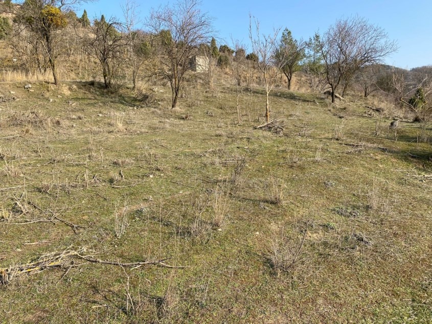 Fotoğraf